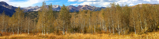 Landscape crop reduced